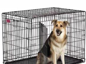 圖 個人 9成新美國中西低碳鋼狗窩300轉讓 深圳寵物食品 用品